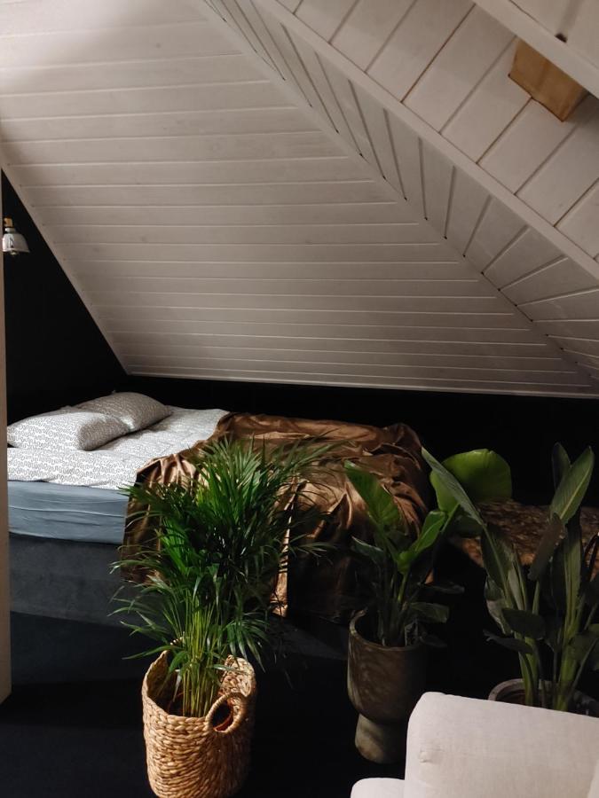 Apartament Lipowa 3 Mrągowo Kültér fotó